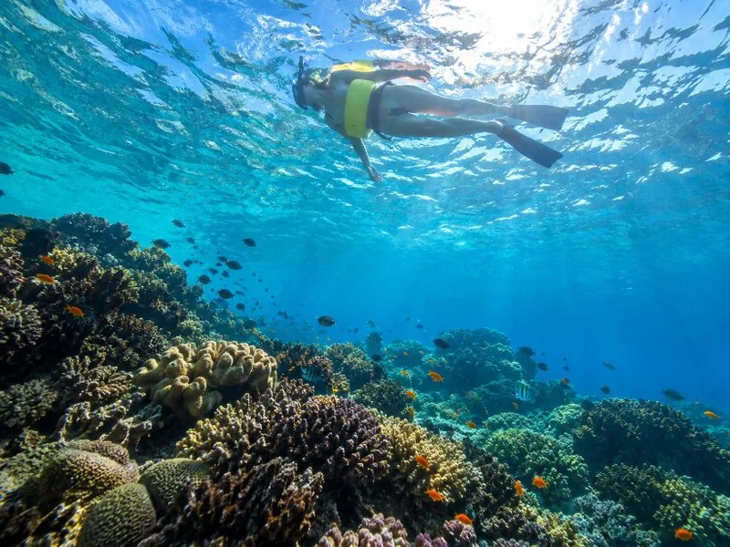 Schnorcheltour zum Molokini-Krater, 2 Stunden