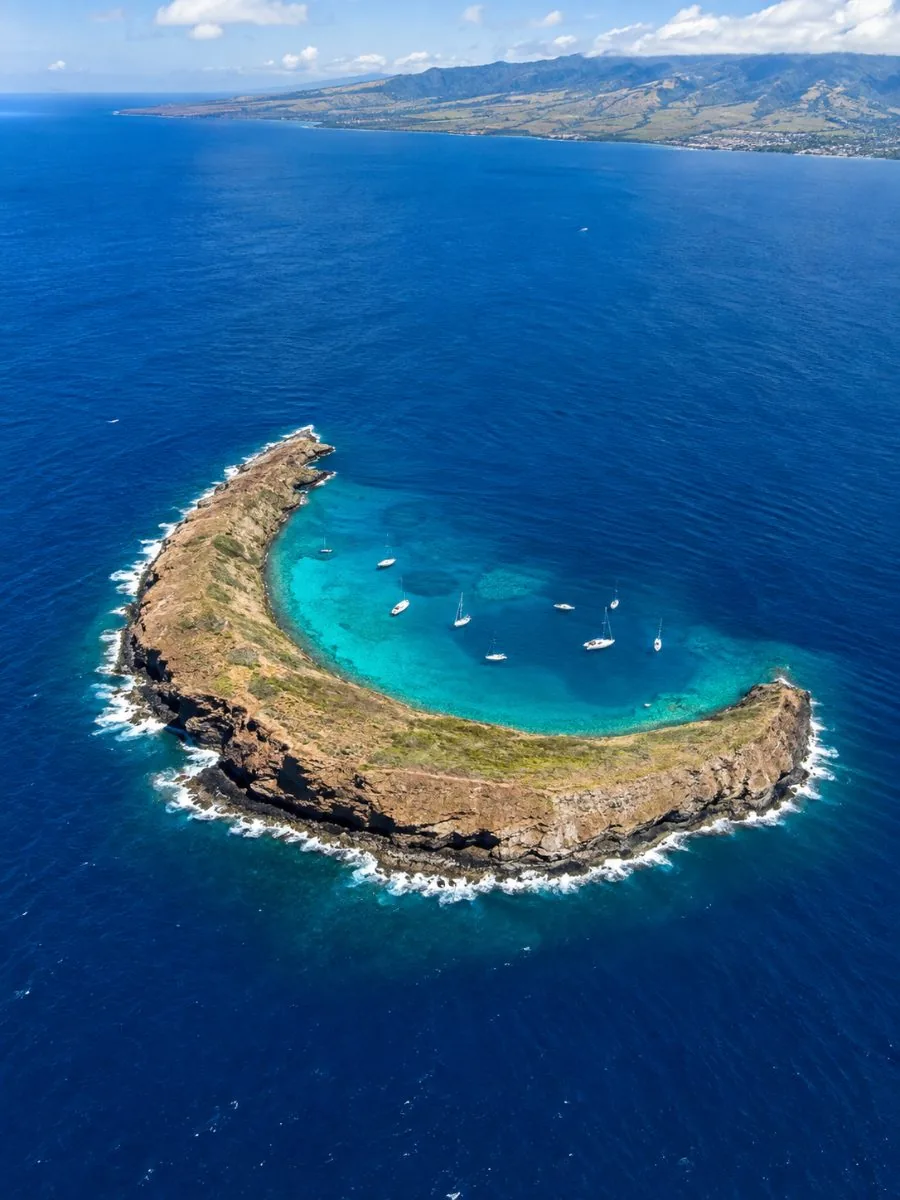 Die sichelförmige Insel Molokini in tiefblauem Wasser, von oben gesehen, mit Schnorchelbooten im geschützten Bogen verankert